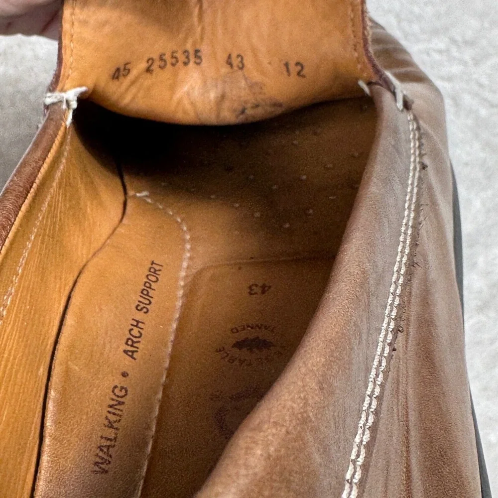 Ecco these brown